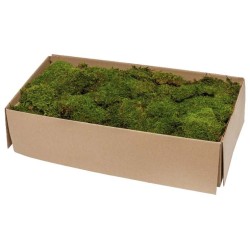 Mousse Plate Stabilisée - Carton de 2,5kg