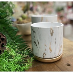 Pot tendance | Grossiste Importateur | Décoration Fleuriste