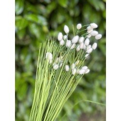 Piquet de Graminées Saule Artificiel Vert et Blanc 70cm