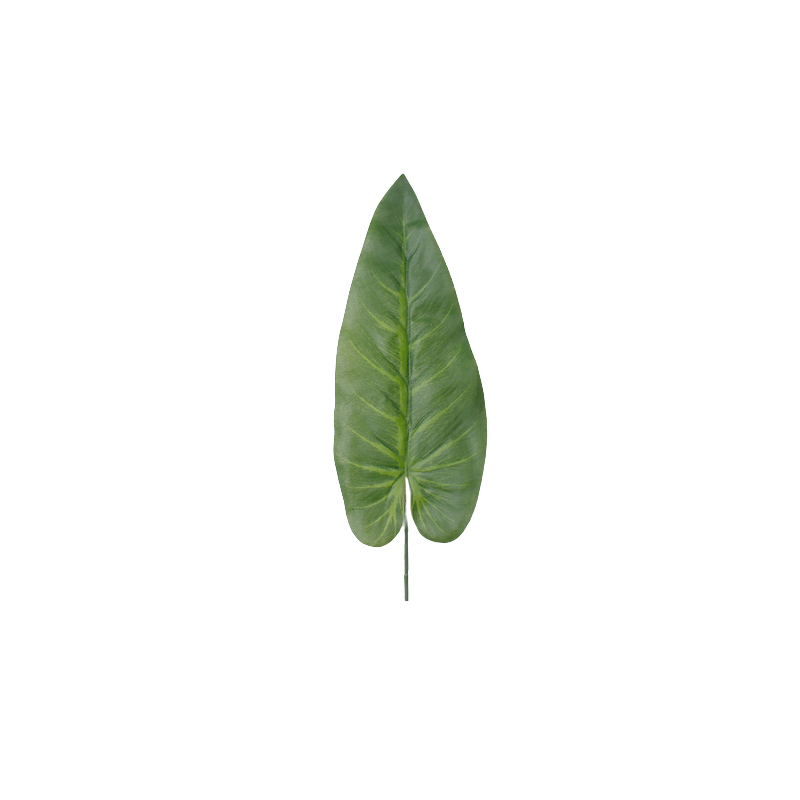 Feuille Anthurium  | Grossiste Fleuristes | Qualité Prix