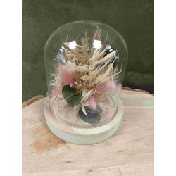 Fleur Séchée sous Cloche | Grossiste fleuristes | Qualité prix