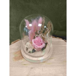 Rose stabilisée sous cloche | Grossiste fleuristes | Qualité prix