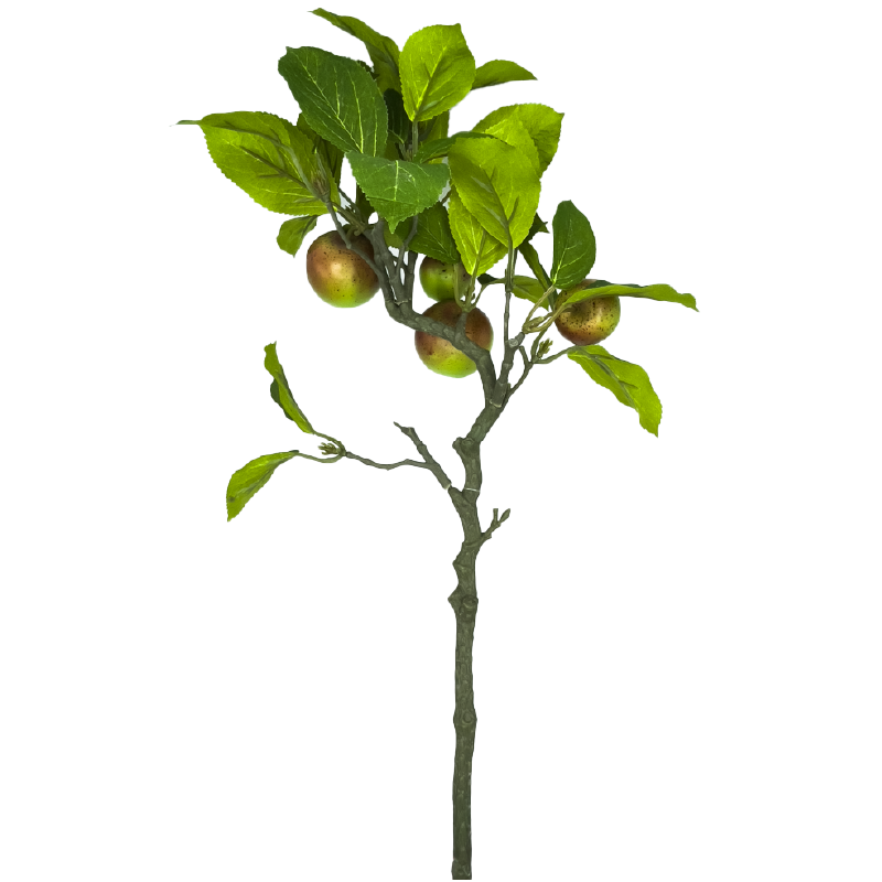 Branche avec pomme verte  | Grossiste fleuriste | Qualité prix