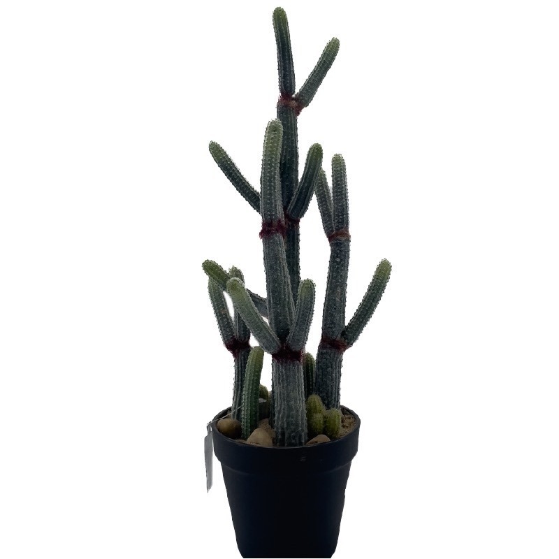 Cactus Artificiel | Grossiste Fleuristes | Fleurs Artificielles