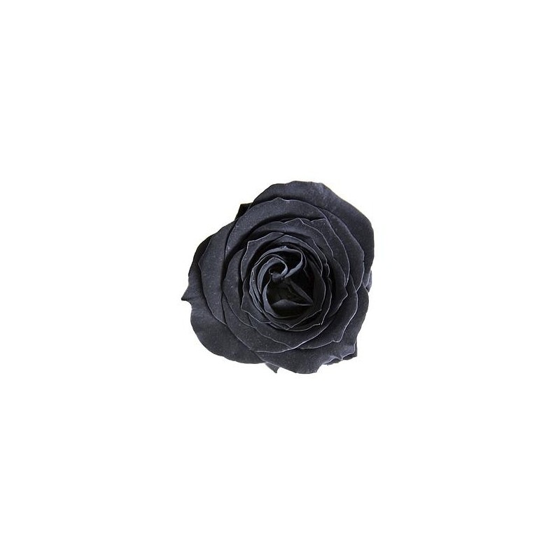 Rose Stabilisée | Grossiste Fleurs Artificielles | Qualité Prix