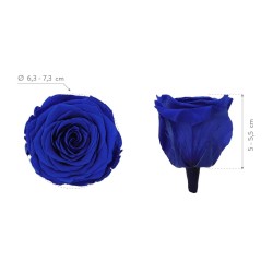 Rose Stabilisée | Grossiste en Fleurs Artificielles | Qualité Prix