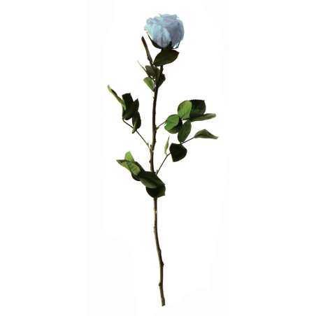 Rose Stabilisée sur tige | Grossiste Fleuristes | Fleurs Artificielles