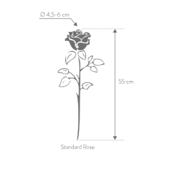 Rose Stabilisée sur tige | Grossiste Fleuristes | Fleurs Artificielles