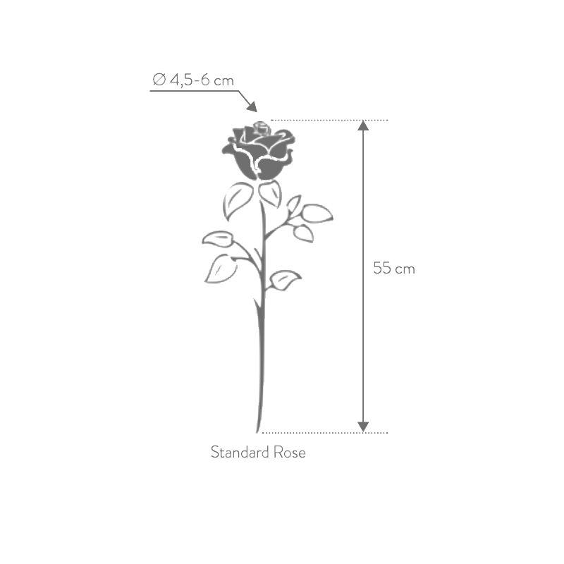 Rose Stabilisée sur tige | Grossiste Fleuristes | Fleurs Artificielles