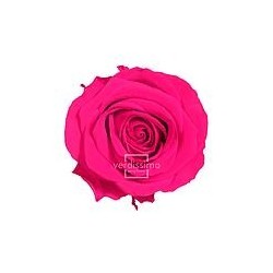 Rose Stabilisée sur tige | Grossiste Fleuristes | Fleurs Artificielles