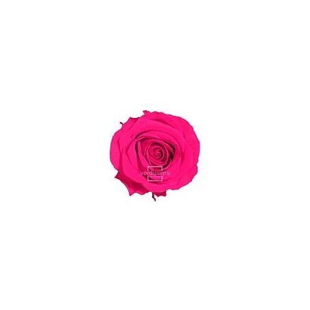 Rose Stabilisée sur tige | Grossiste Fleuristes | Fleurs Artificielles