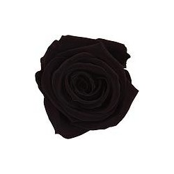 Rose Stabilisée sur tige | Grossiste Fleuristes | Fleurs Artificielles