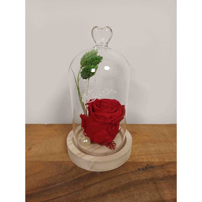 Cloche Rose Eternelle  | Fournisseur Verrerie | Qualité Prix