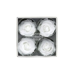 Tête de rose stabilisée Blanche Premium x4 : Grossiste Artiflor