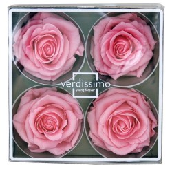 Tête de rose stabilisée Rose Pastel Qualité Premium x4