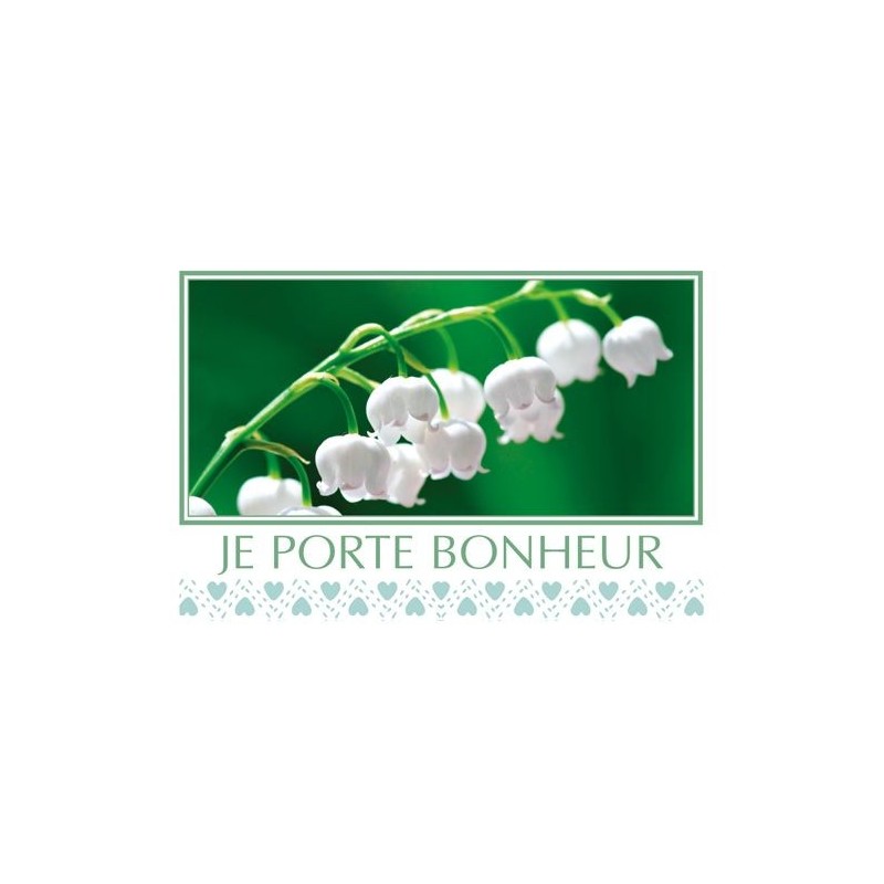 Carte Je Porte Bonheur Sachetx15pcs 740