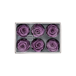 Tête de rose stabilisée couleur lavande (mauve) x6 : Grossiste Artiflor