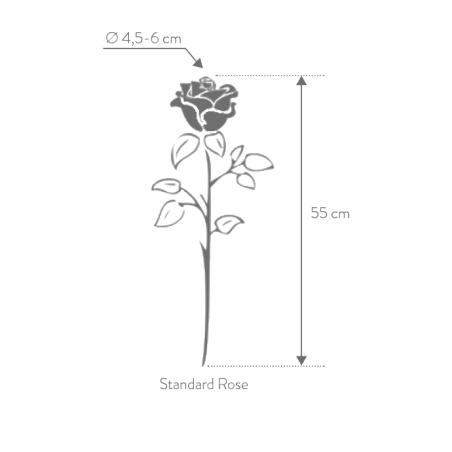 Rose stabilisée noire sur tige : grossiste Artiflor