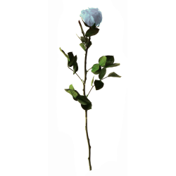 Rose stabilisée bleu pale sur tige : Grossiste Artiflor