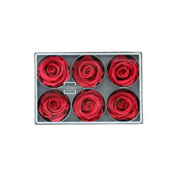 Rose stabilisée Standard Boite de 6 têtes Rose foncé