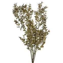 Ruscus naturel 250G