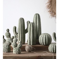 Cactus céramique | Décoration | Grossiste fleuriste