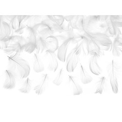 Sachet de plumes décoratives coloris blanc 3g