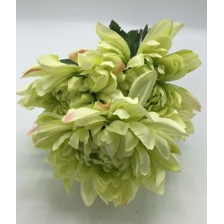 Piquet Dahlia Vert Clair Maeva 53cm