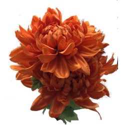 Piquet Dahlia Orange Maeva 53cm