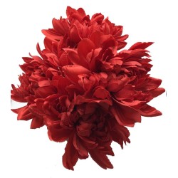 Piquet Dahlia Rouge Maeva 53cm