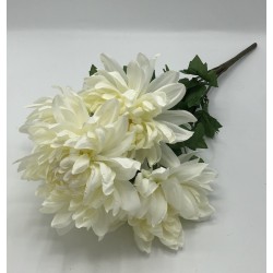 Piquet Dahlia Crème Maeva 53cm