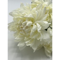 Piquet Dahlia Crème Maeva 53cm