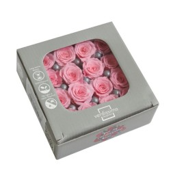 Mini tête de rose stabilisée Rose Pastel x16