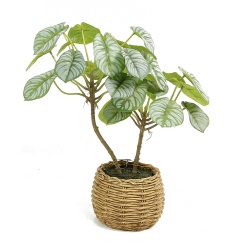 Plante artificielle | Plante en Pot | Décoration Florale